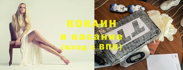 дживик Семилуки