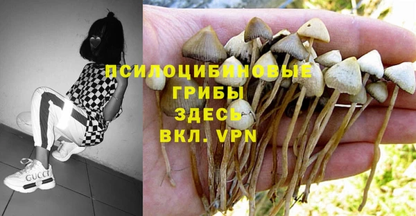 стафф Семёнов