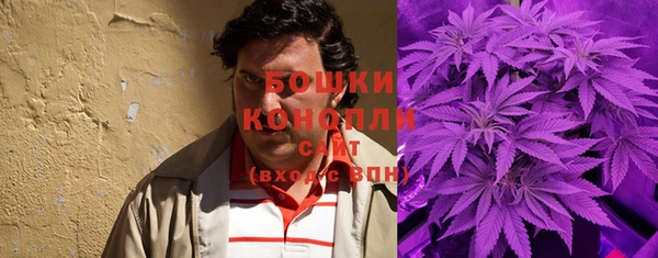 дживик Семилуки