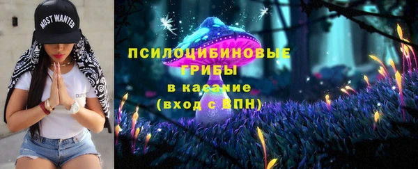 ГАЛЛЮЦИНОГЕННЫЕ ГРИБЫ Богородицк