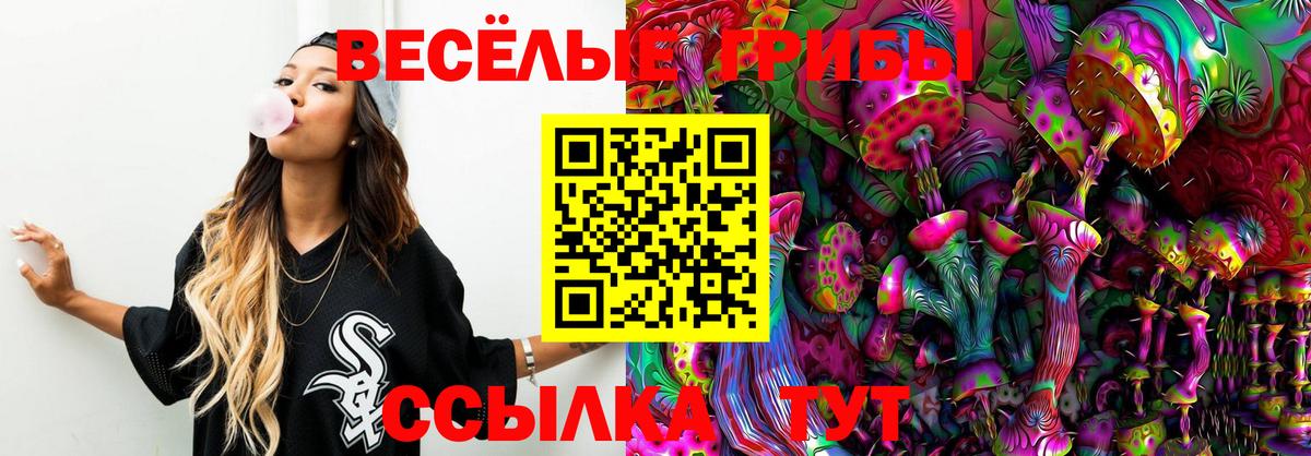 где найти наркотики  Галлюциногенные грибы Cubensis  Вход с VPN  Боровичи 