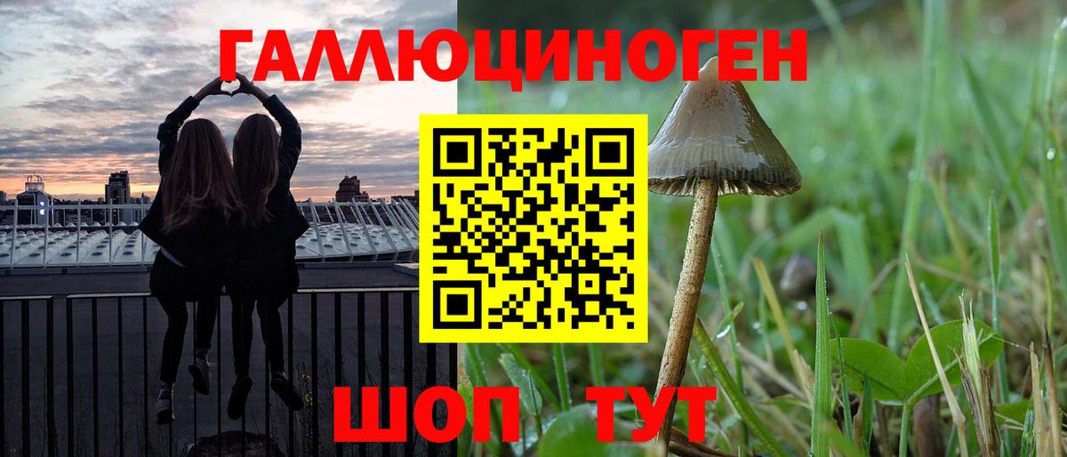 Галлюциногенные грибы Cubensis  закладка  Боровичи 
