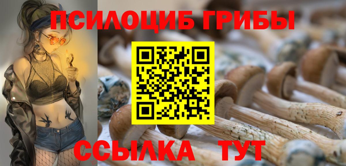 Галлюциногенные грибы Magic Shrooms Боровичи